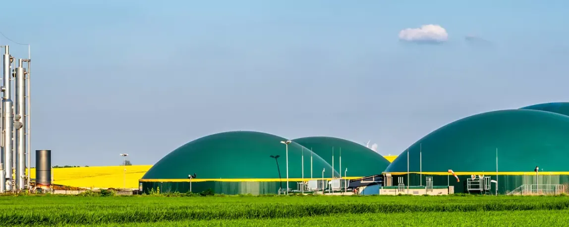 interview agriportance