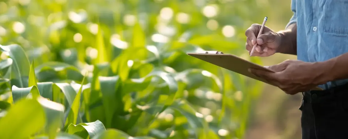 Landwirtschaft studieren