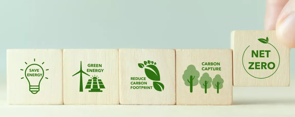 nachwachsende rohstoffe bioenergie
