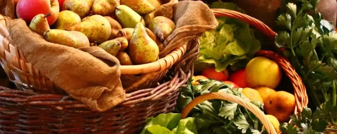Direktvermarktung in der Landwirtschaft: Schritt für Schritt zum eigenen Laden auf agrajo.com