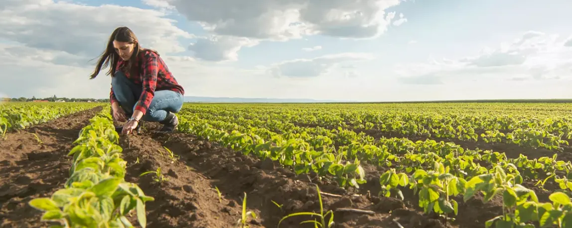 Gehalt Landwirtschaft Ausbildung