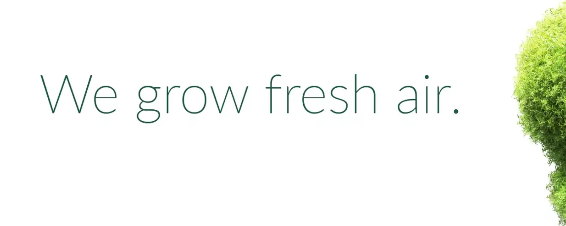 5 fixe Fragen an … Peter von Green City Solutions