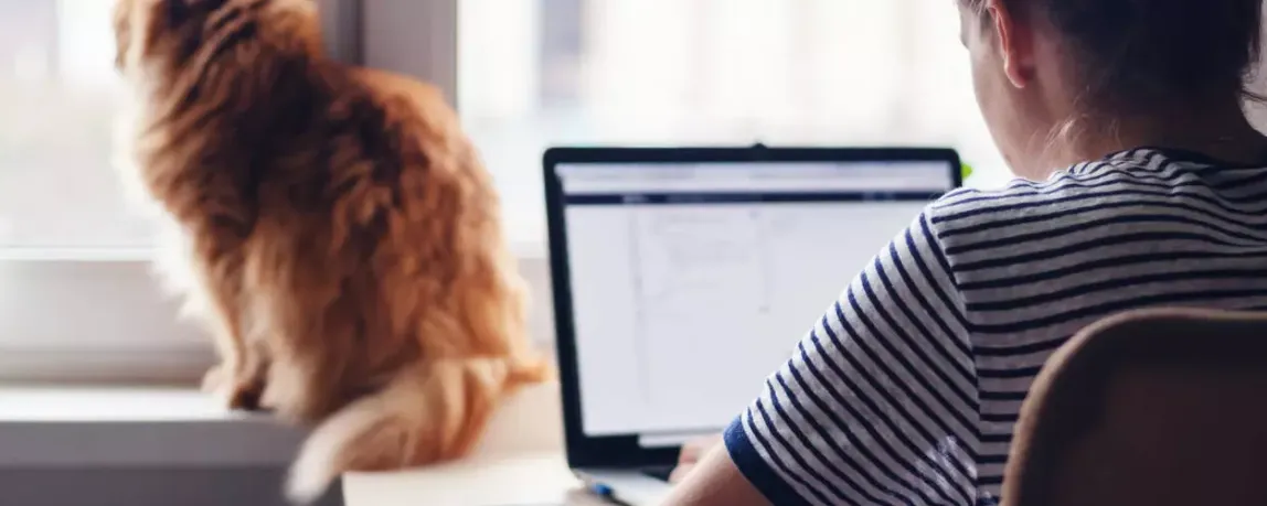 Home Office: 5 Tipps zum richtigen Arbeiten zu Hause