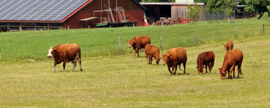 Landwirt werden ohne Hof