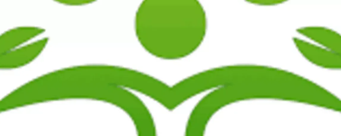 Interview: Was macht das Unternehmen Socks For Plants?