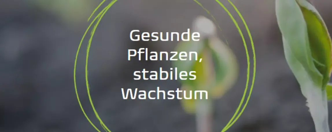 5 fixe Fragen an … OmniCult