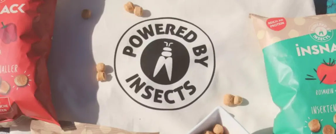 Insnack - Snack aus Insekten in verschiedenen Sorten