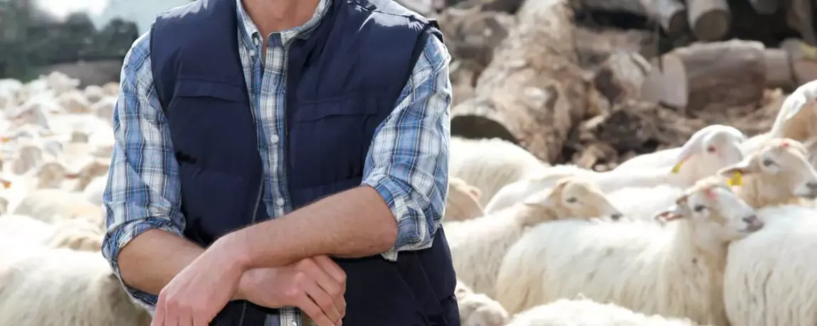 Interview: Arbeiten als Tierwirt mit Schafen