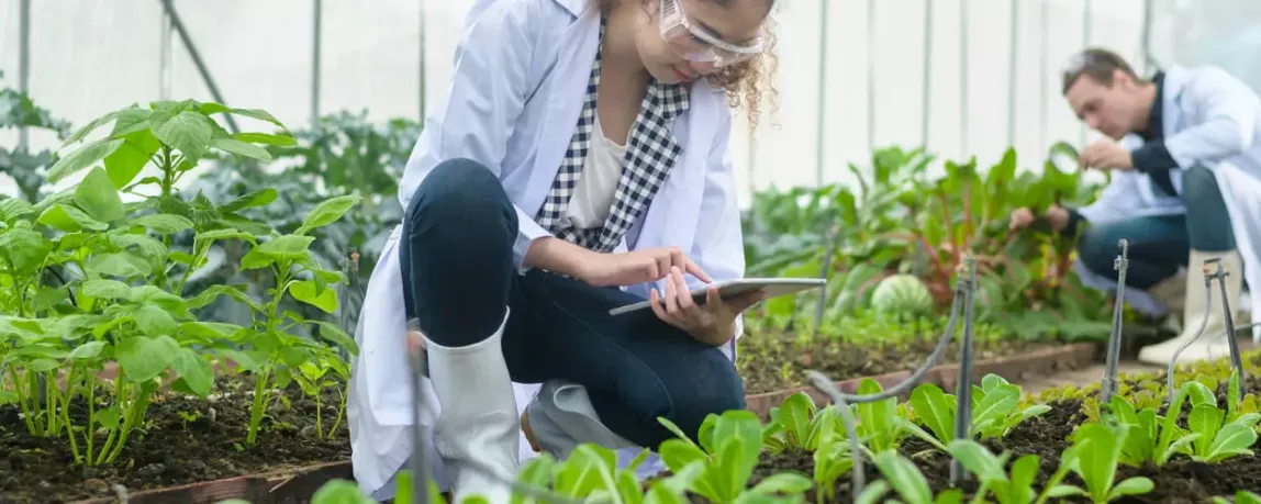 Was macht ein Agronom?