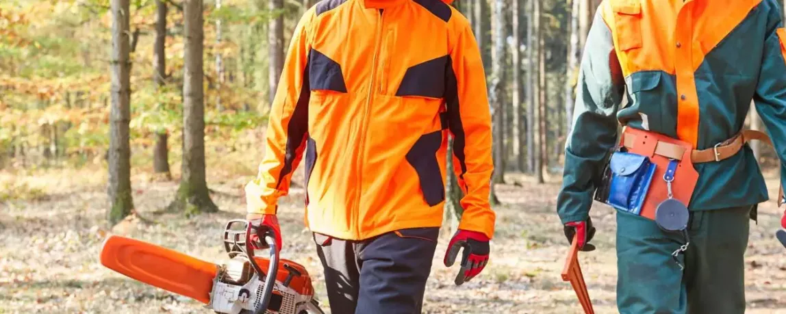 Was macht ein Forstwirt: Forstwirte in Schutzausrüstung im Wald