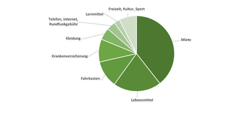 Ausgaben-im-Studium