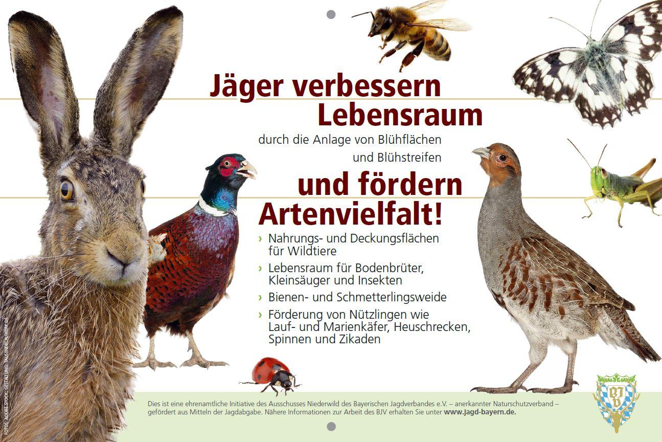 BVL-Jagdschule-2