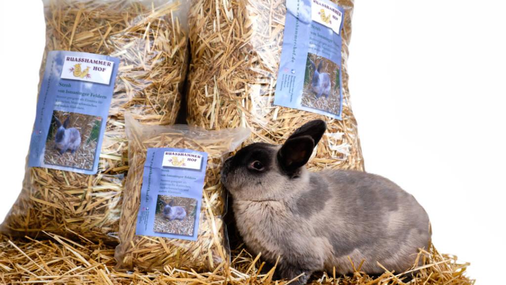 Kaninchen_mit_Stroh_vom_Ruasshammerhof-1-1024x576