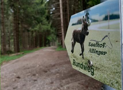 Rundweg-Eseltour