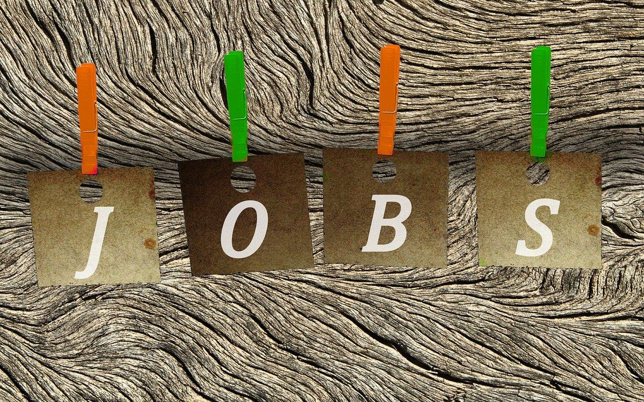 agrajo.com Theorie vs. Praxis Jobs