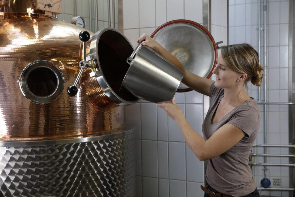 dhbw-heilbronn-studiengang-wein-1024x683