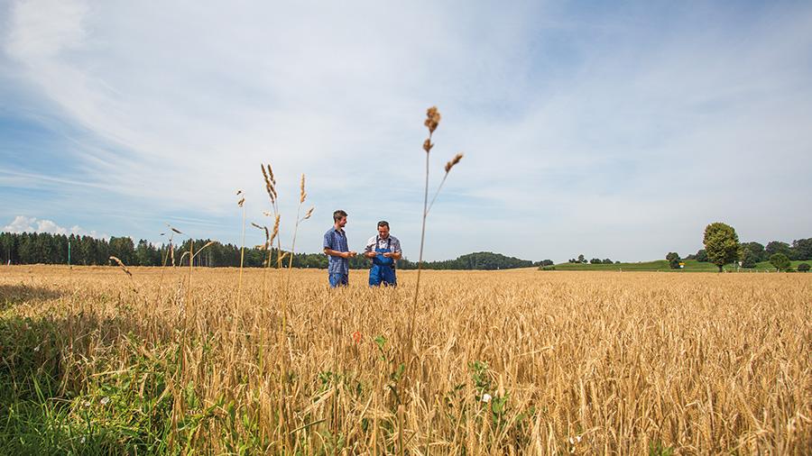 hofuebergabe-bbv-steuerberatung-land-und-forstwirschaft
