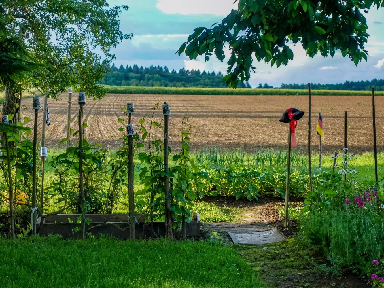 landwirtschaftsanbau-adobestock_828800564