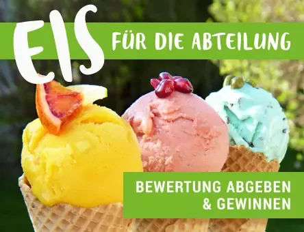 logo_eis