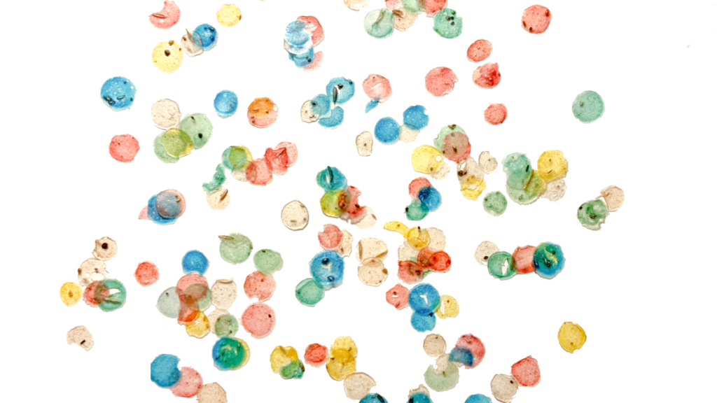 saatgutkonfetti-kompostierbar-1024x576