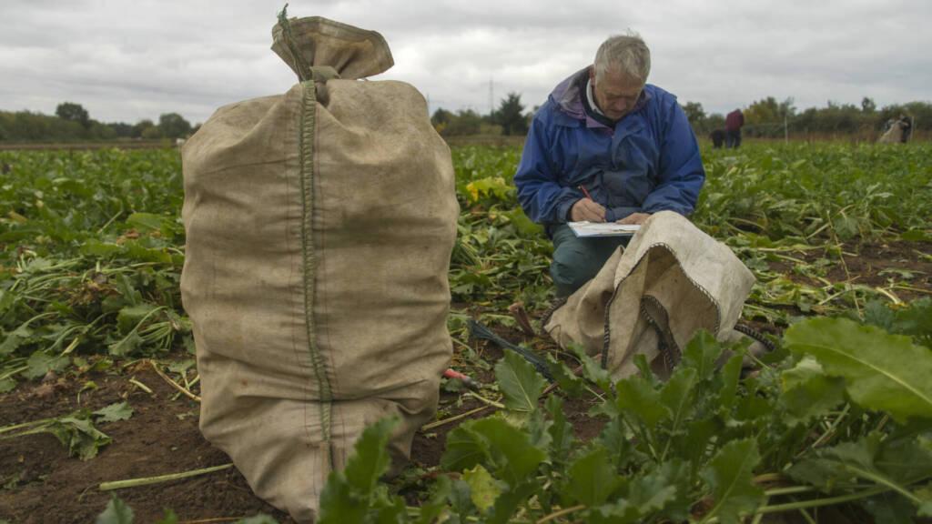 th-bingen-landwirtschaft-umwelt-1024x576